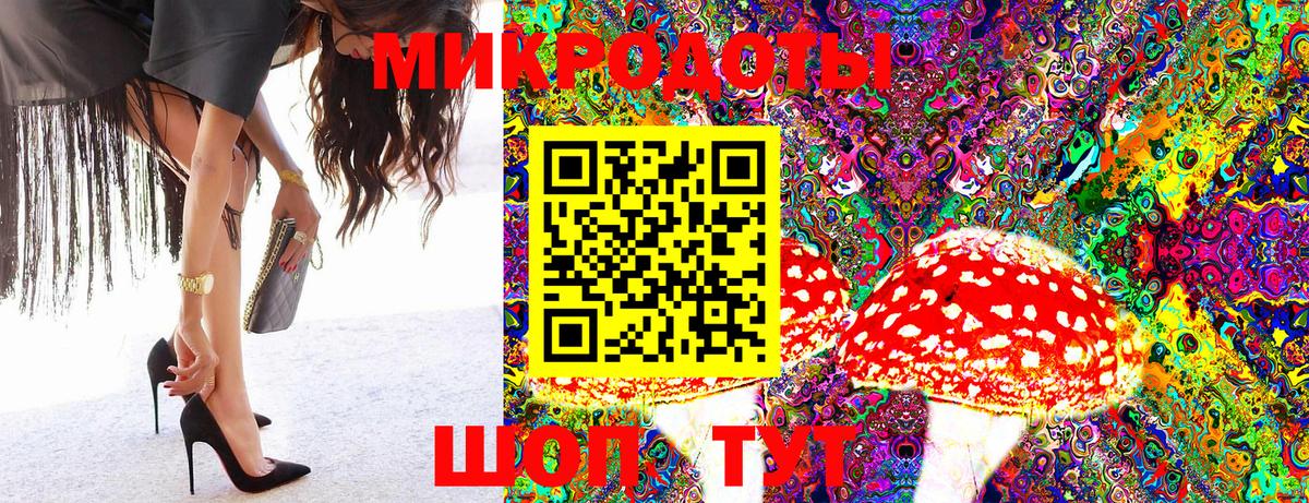 Псилоцибиновые грибы мицелий Нижний Новгород